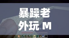 暴躁老外玩 Minecraft 通知来啦何时上架？精彩内容抢先看