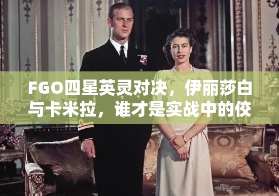 FGO四星英灵对决，伊丽莎白与卡米拉，谁才是实战中的佼佼者？