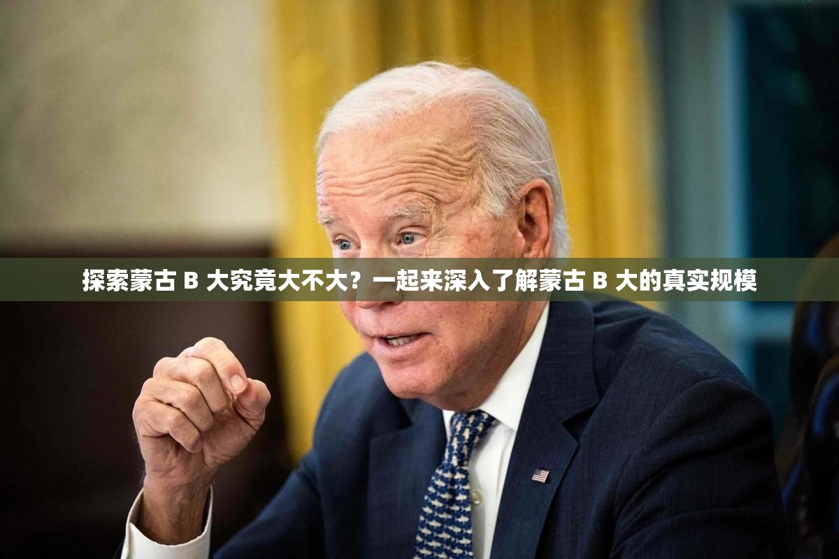 探索蒙古 B 大究竟大不大？一起来深入了解蒙古 B 大的真实规模