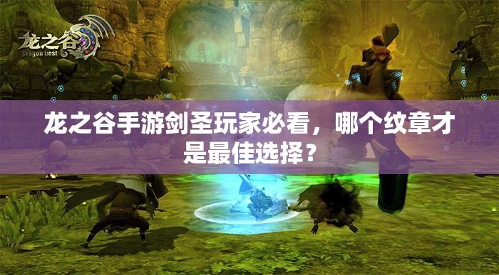 龙之谷手游剑圣玩家必看，哪个纹章才是最佳选择？