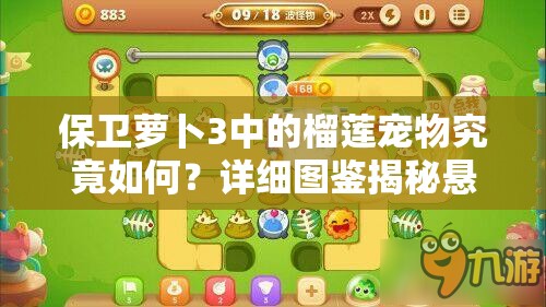 保卫萝卜3中的榴莲宠物究竟如何？详细图鉴揭秘悬念！