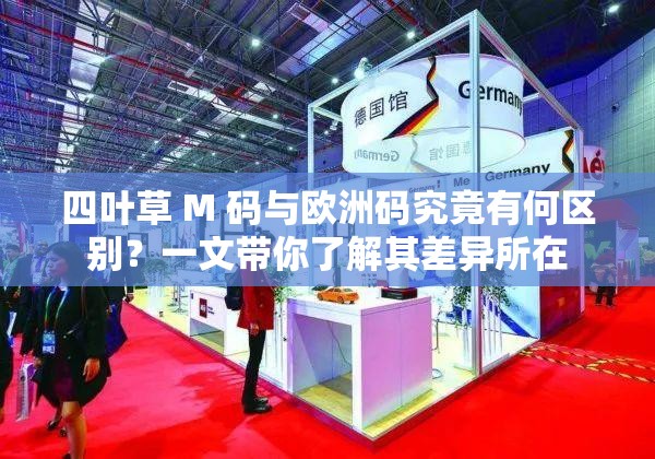 四叶草 M 码与欧洲码究竟有何区别？一文带你了解其差异所在