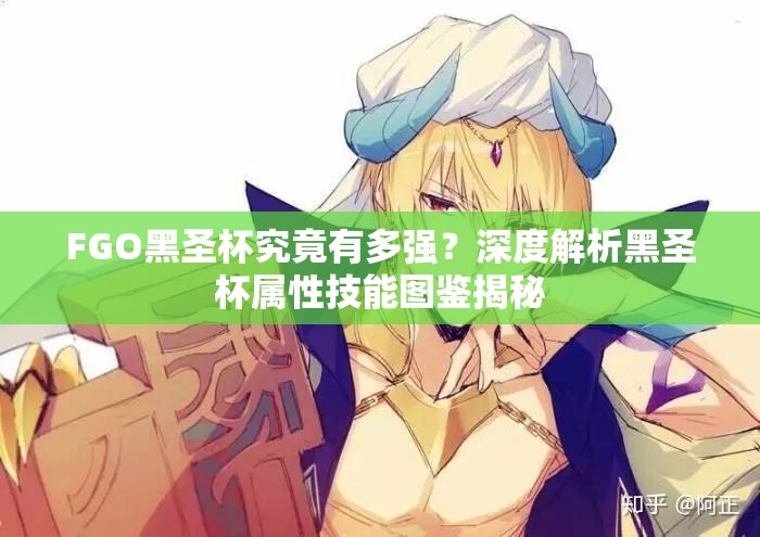 FGO黑圣杯究竟有多强？深度解析黑圣杯属性技能图鉴揭秘