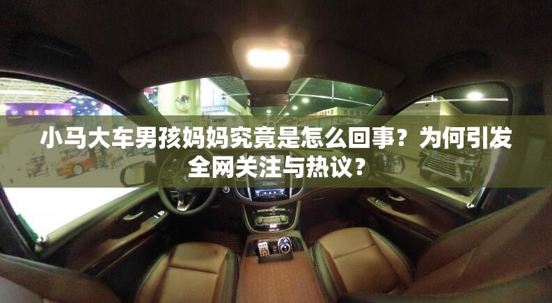 小马大车男孩妈妈究竟是怎么回事？为何引发全网关注与热议？