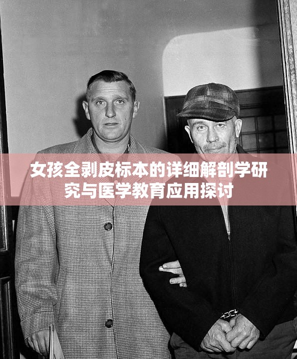 女孩全剥皮标本的详细解剖学研究与医学教育应用探讨