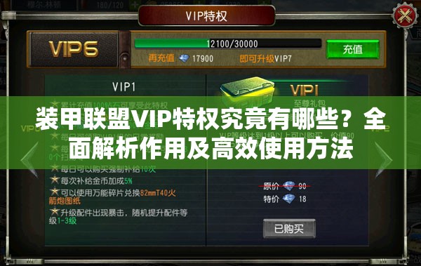 装甲联盟VIP特权究竟有哪些？全面解析作用及高效使用方法