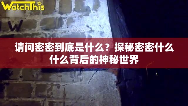 请问密密到底是什么？探秘密密什么什么背后的神秘世界