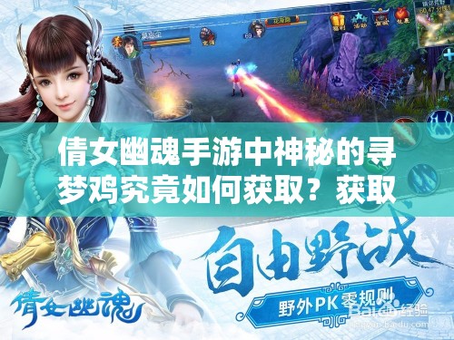 倩女幽魂手游中神秘的寻梦鸡究竟如何获取？获取方法全揭秘！