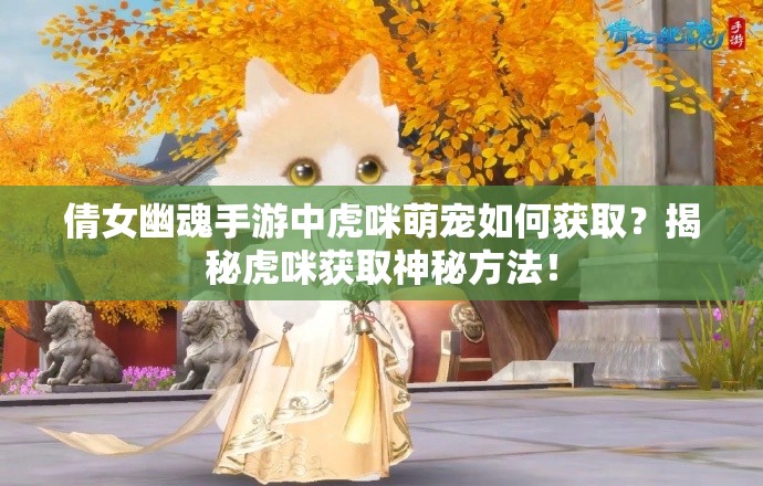 倩女幽魂手游中虎咪萌宠如何获取？揭秘虎咪获取神秘方法！