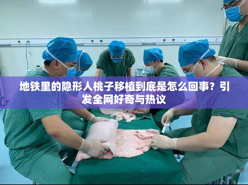 地铁里的隐形人桃子移植到底是怎么回事？引发全网好奇与热议