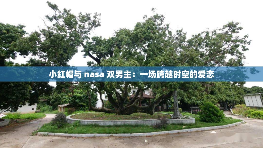小红帽与 nasa 双男主：一场跨越时空的爱恋