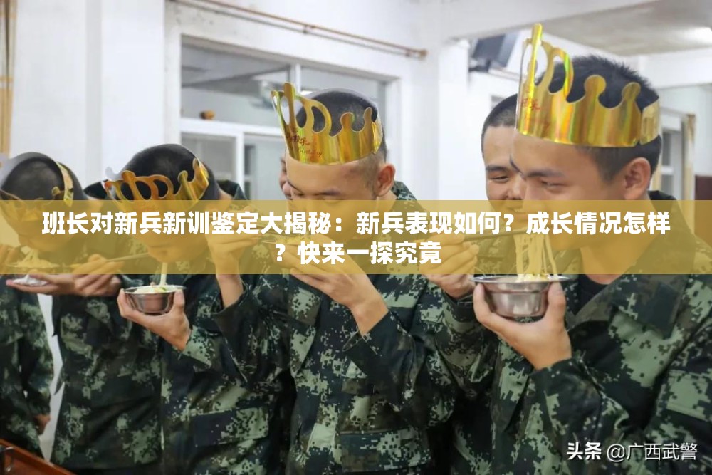 班长对新兵新训鉴定大揭秘：新兵表现如何？成长情况怎样？快来一探究竟