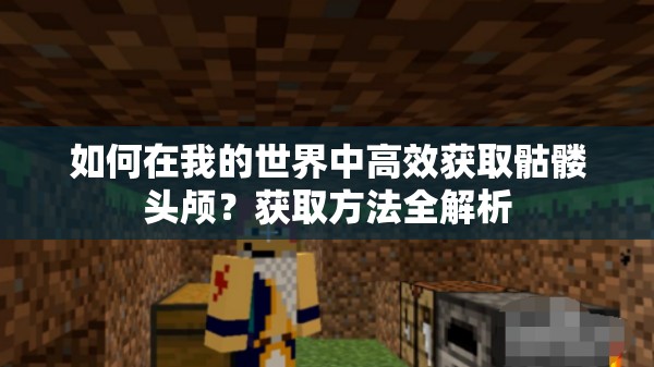 如何在我的世界中高效获取骷髅头颅？获取方法全解析