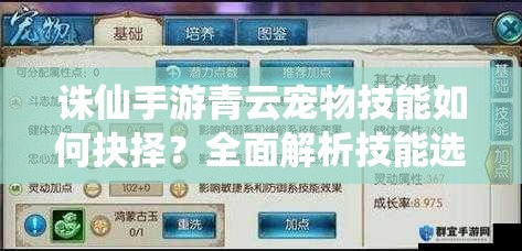诛仙手游青云宠物技能如何抉择？全面解析技能选择与搭配攻略
