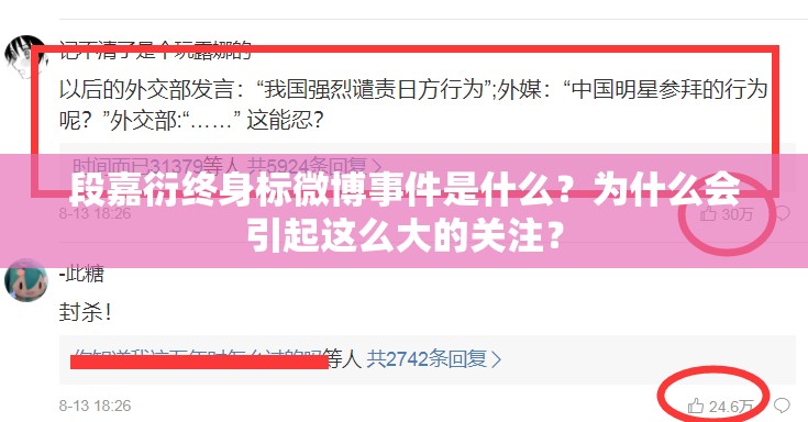 段嘉衍终身标微博事件是什么？为什么会引起这么大的关注？