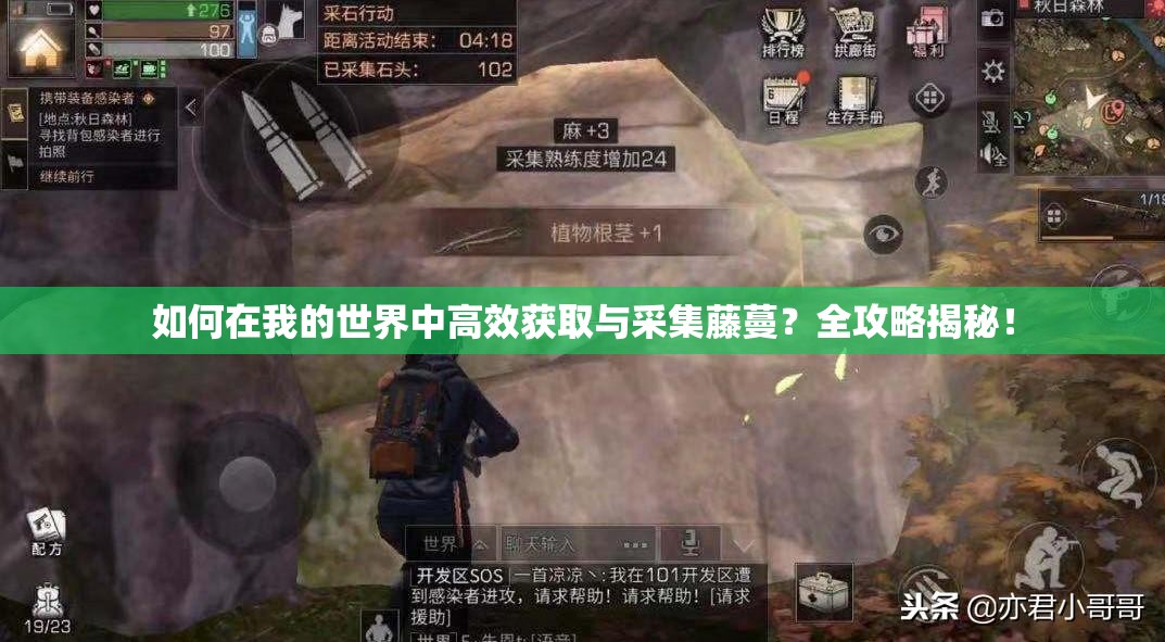 如何在我的世界中高效获取与采集藤蔓？全攻略揭秘！