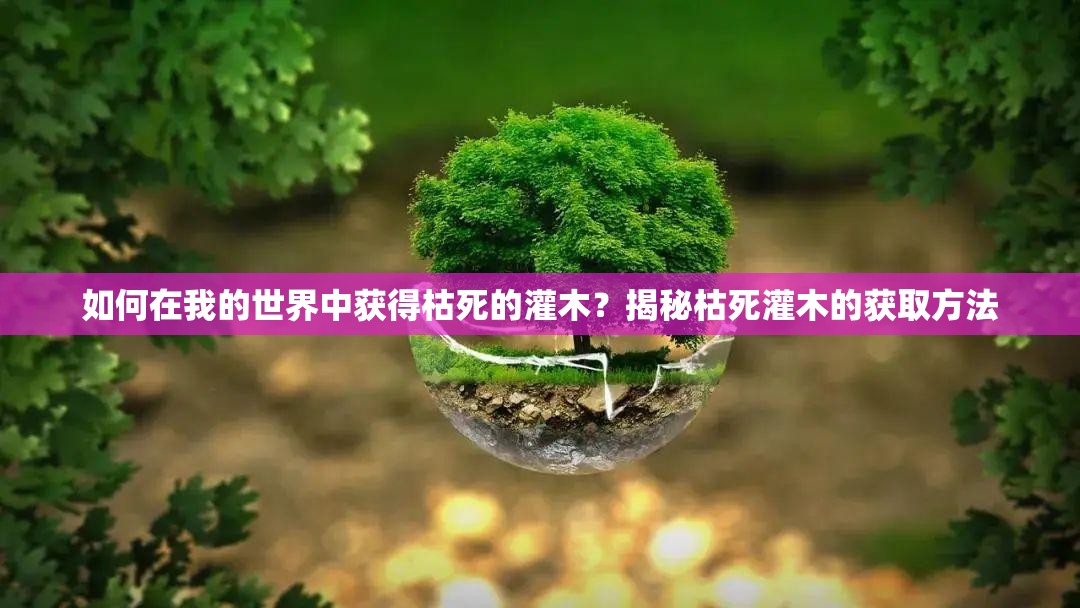 如何在我的世界中获得枯死的灌木？揭秘枯死灌木的获取方法