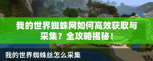 我的世界蜘蛛网如何高效获取与采集？全攻略揭秘！