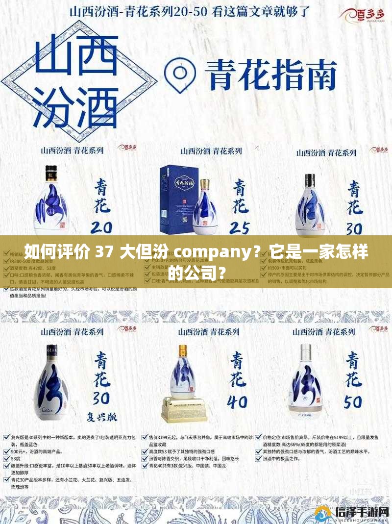 如何评价 37 大但汾 company？它是一家怎样的公司？