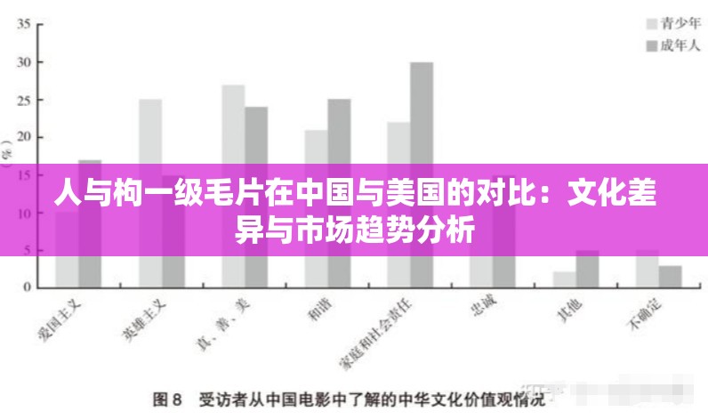 人与枸一级毛片在中国与美国的对比：文化差异与市场趋势分析