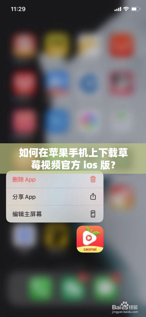 如何在苹果手机上下载草莓视频官方 ios 版？