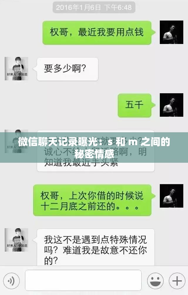 微信聊天记录曝光：s 和 m 之间的秘密情感