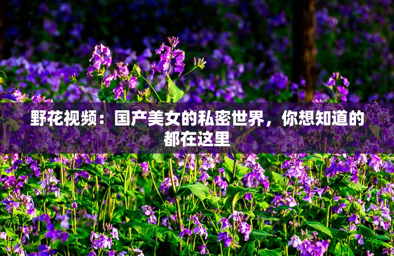 野花视频：国产美女的私密世界，你想知道的都在这里