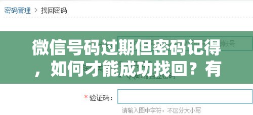 微信号码过期但密码记得，如何才能成功找回？有什么好办法？微信账号过期，仅记得密码，怎样操作才能顺利将其找回？微信号码已过期，密码牢记于心，究竟怎样能实现找回账号？