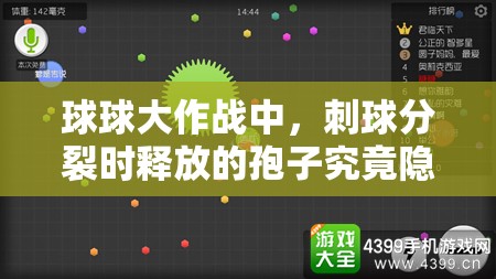 球球大作战中，刺球分裂时释放的孢子究竟隐藏着什么未解之谜？