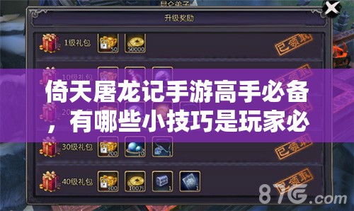 倚天屠龙记手游高手必备，有哪些小技巧是玩家必须知道的？