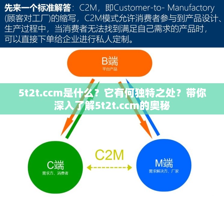 5t2t.ccm是什么？它有何独特之处？带你深入了解5t2t.ccm的奥秘