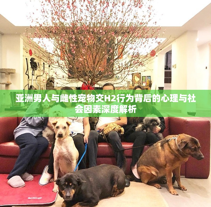 亚洲男人与雌性宠物交H2行为背后的心理与社会因素深度解析