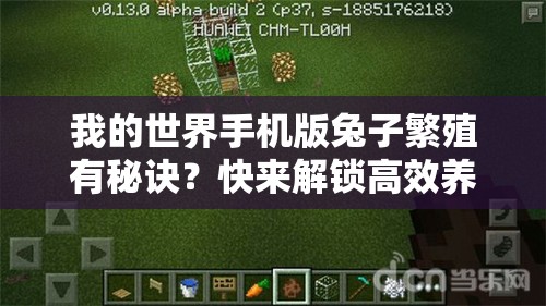 我的世界手机版兔子繁殖有秘诀？快来解锁高效养殖方法！