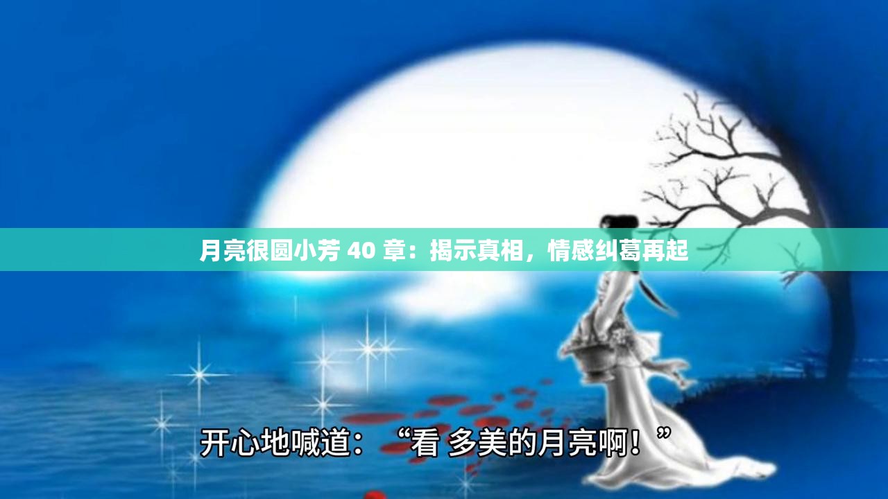 月亮很圆小芳 40 章：揭示真相，情感纠葛再起