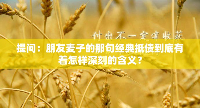 提问：朋友麦子的那句经典抵债到底有着怎样深刻的含义？