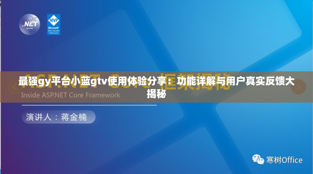 最强gy平台小蓝gtv使用体验分享：功能详解与用户真实反馈大揭秘