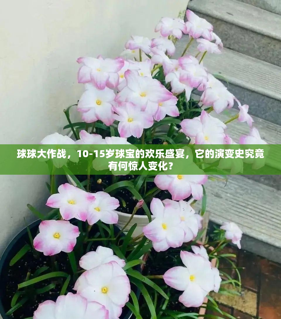 球球大作战，10-15岁球宝的欢乐盛宴，它的演变史究竟有何惊人变化？