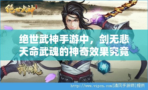 绝世武神手游中，剑无悲天命武魂的神奇效果究竟如何？