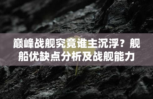 巅峰战舰究竟谁主沉浮？舰船优缺点分析及战舰能力对比揭秘