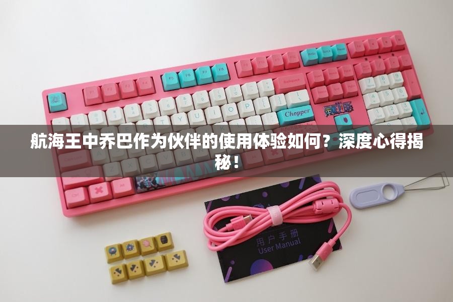 航海王中乔巴作为伙伴的使用体验如何？深度心得揭秘！