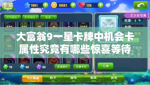 大富翁9一星卡牌中机会卡属性究竟有哪些惊喜等待发现？
