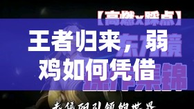 王者归来，弱鸡如何凭借死鱼骑夺冠？卡组演变史揭秘悬念！