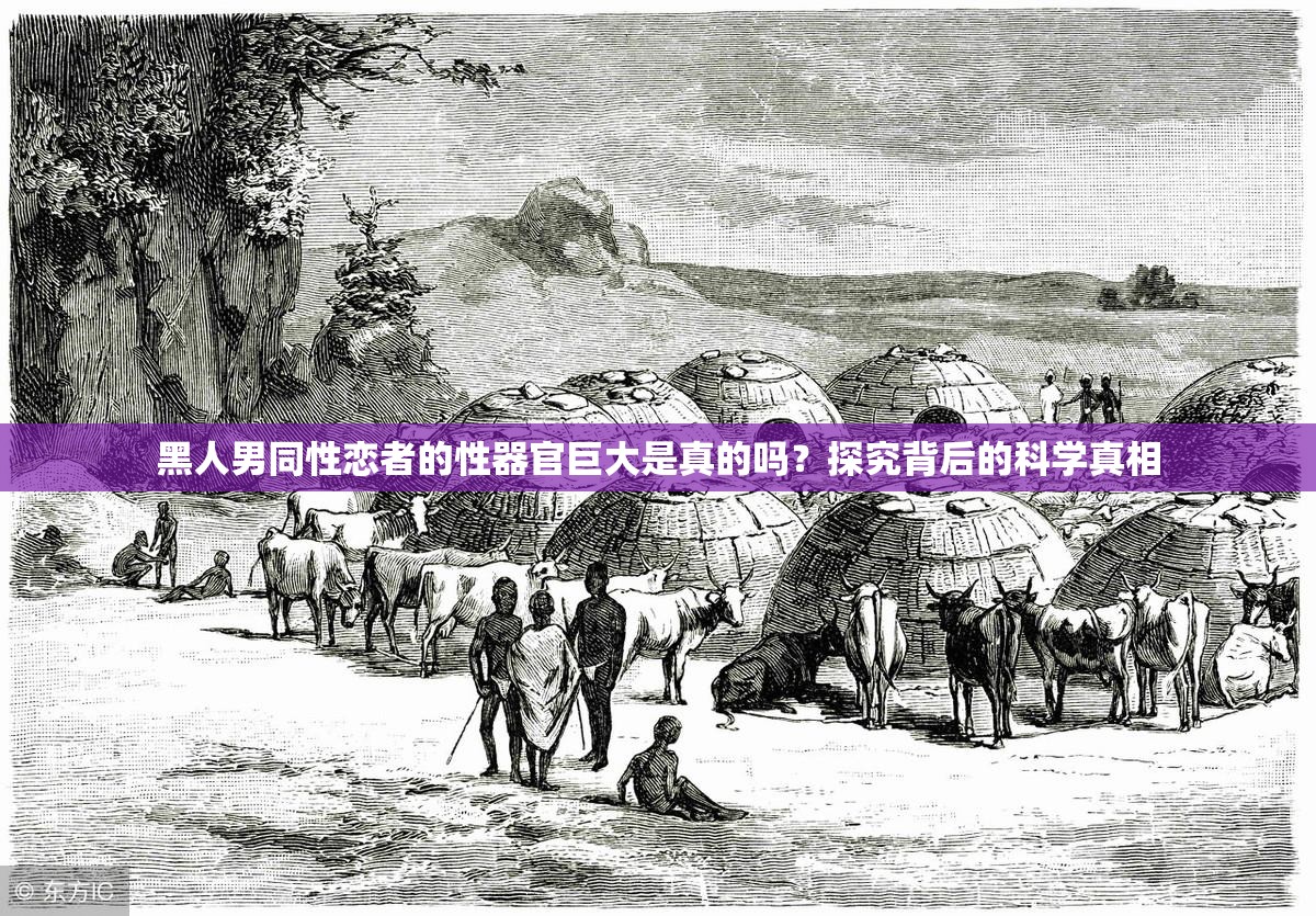 黑人男同性恋者的性器官巨大是真的吗？探究背后的科学真相
