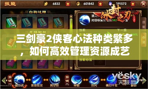 三剑豪2侠客心法种类繁多，如何高效管理资源成艺术难题？
