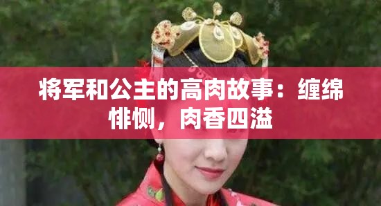 将军和公主的高肉故事：缠绵悱恻，肉香四溢