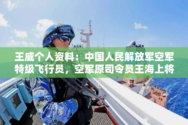 王威个人资料：中国人民解放军空军特级飞行员，空军原司令员王海上将之子