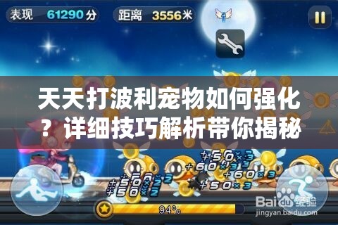 天天打波利宠物如何强化？详细技巧解析带你揭秘强化悬念！