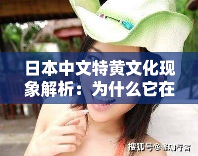 日本中文特黄文化现象解析：为什么它在网络上有如此高的关注度？