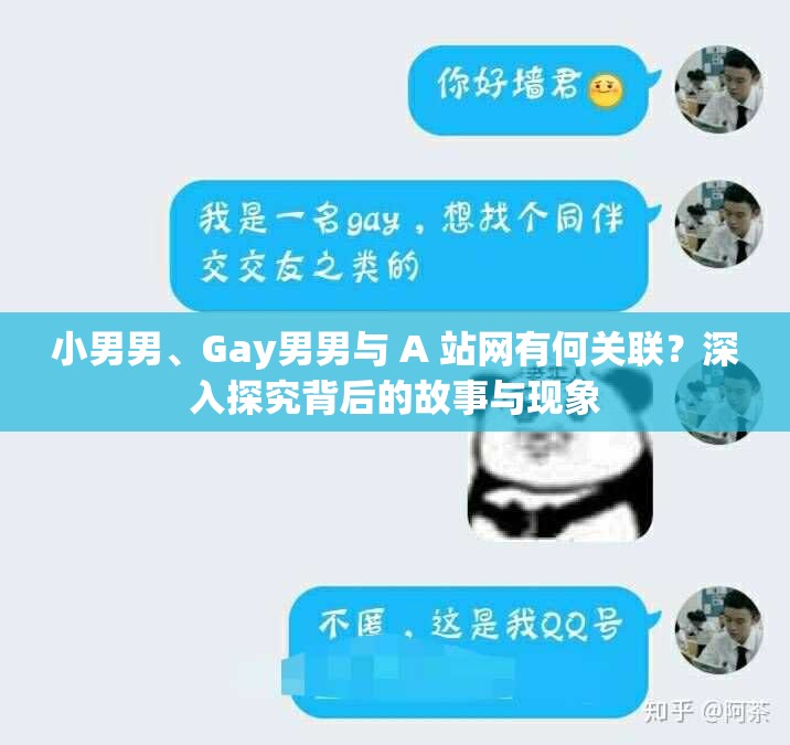 小男男、Gay男男与 A 站网有何关联？深入探究背后的故事与现象