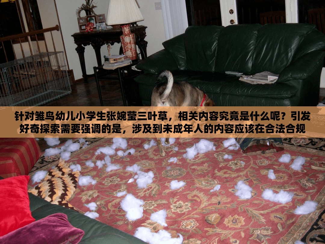 针对雏鸟幼儿小学生张婉莹三叶草，相关内容究竟是什么呢？引发好奇探索需要强调的是，涉及到未成年人的内容应该在合法合规以及符合道德伦理的前提下进行传播和讨论